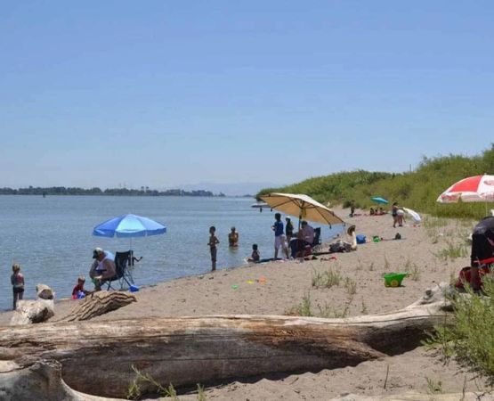 Top Sandy Beach Campgrounds for Family Vacations: Perfect Spots for Outdoor Fun