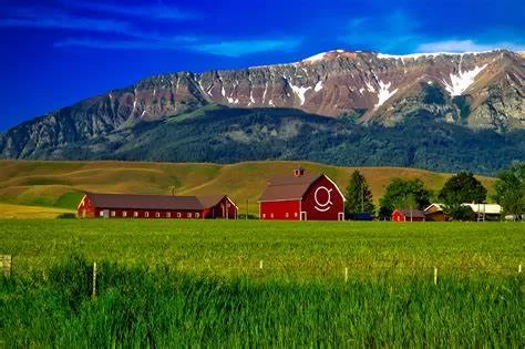 Scenic Farm Camping Experiences for Nature Lovers: Connect with Nature and Rustic Charm