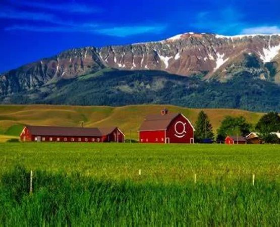 Scenic Farm Camping Experiences for Nature Lovers: Connect with Nature and Rustic Charm