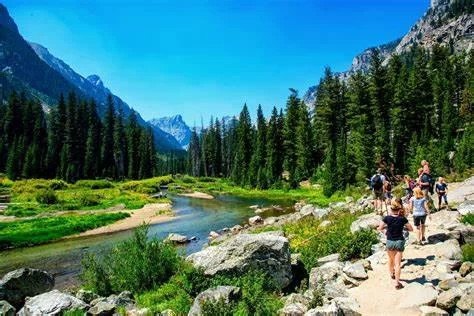 Nature Walks and Hikes Near Popular Campgrounds: Explore Scenic Trails Close to Your Campsite