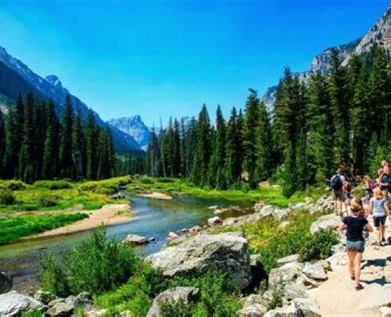 Nature Walks and Hikes Near Popular Campgrounds: Explore Scenic Trails Close to Your Campsite