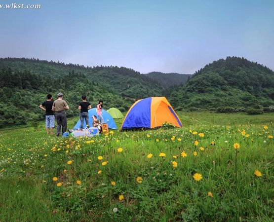 Top Peaceful Farm Campgrounds with Hiking Trails for Nature Lovers