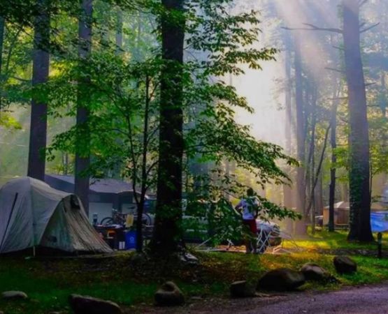 Tranquil Mountain Campgrounds Near Pristine Lakes for Serene Getaways