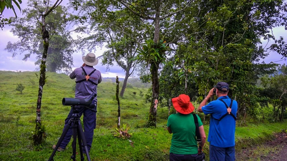 Exploring Nature Walks and Birdwatching Near Popular Camping Grounds