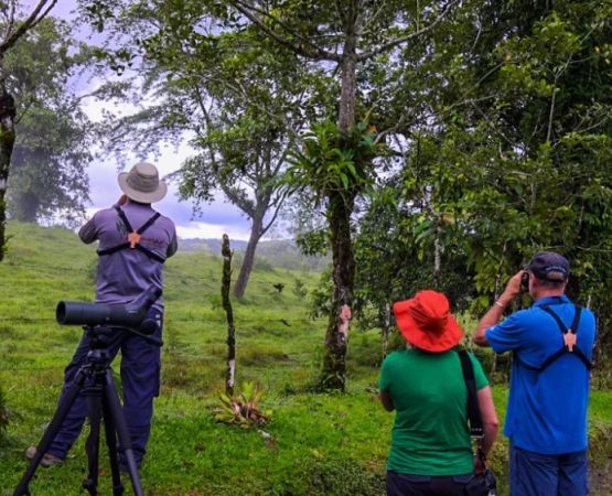 Exploring Nature Walks and Birdwatching Near Popular Camping Grounds
