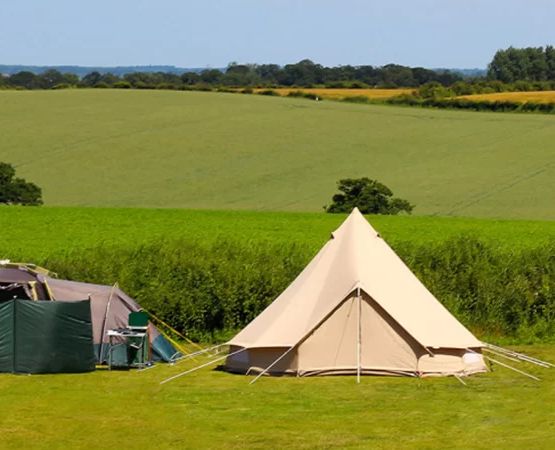 Best Farm Camping Experiences for Nature Lovers: Connect with Nature on the Farm