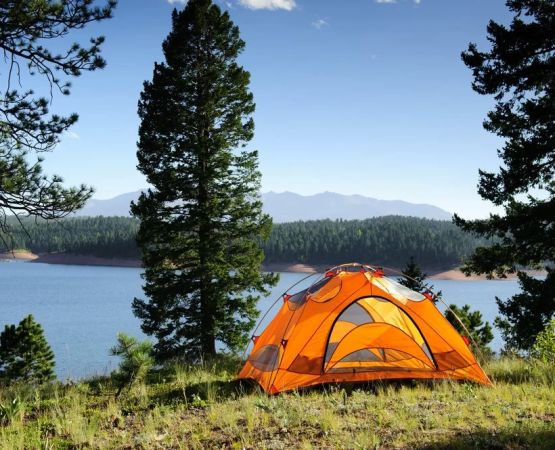 Camping Near Quiet Lake Shores with Fishing Access for the Perfect Outdoor Escape