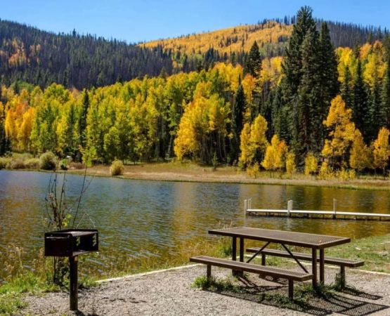 Best Camping Destinations Near Clear Freshwater Lakes for Nature Lovers