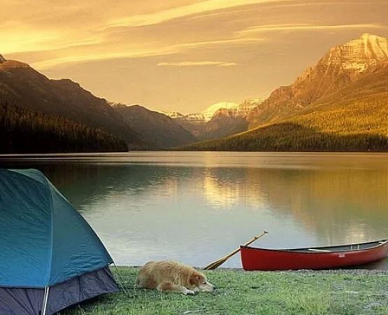 Camping with Easy Boat Access for Water Sports and Fishing: Top Tips and Locations