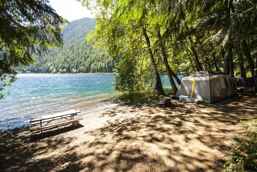 Best Natural Lakeside Campsites for Families and Pets: Top Picks for Outdoor Fun