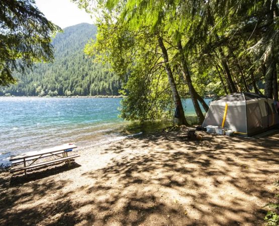 Best Natural Lakeside Campsites for Families and Pets: Top Picks for Outdoor Fun