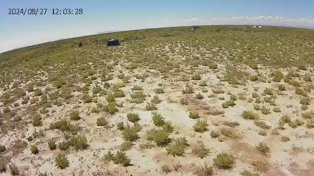 Quiet Oasis 0
