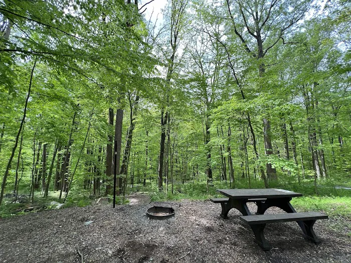 Owens Creek Campground 0