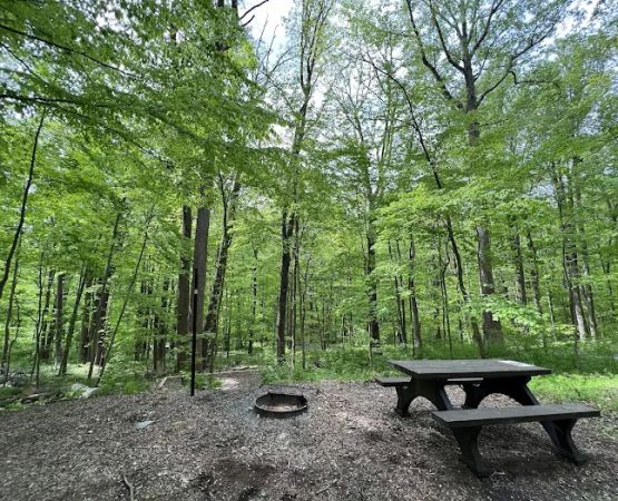 Owens Creek Campground