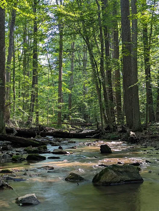 Owens Creek Campground 1