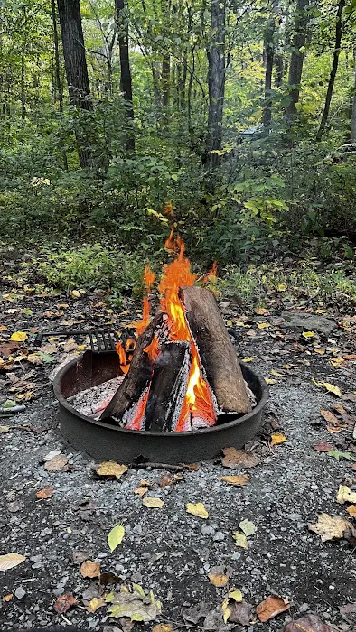 Owens Creek Campground 3