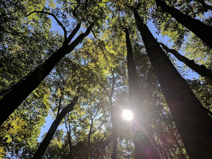 Owens Creek Campground 9