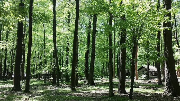 Camp Greentop 5