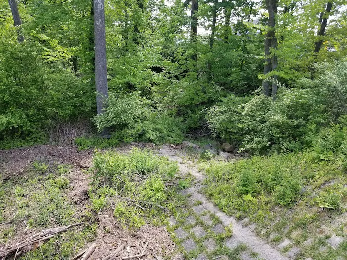 Crow's Nest Family Campground 8