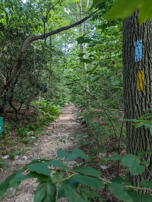 Manor Area - Cunningham Falls State Park 1