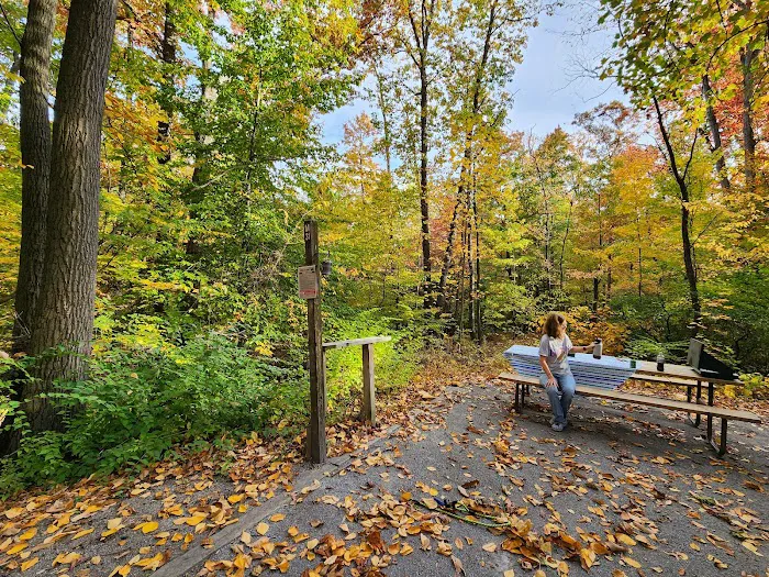 Manor Area - Cunningham Falls State Park 4
