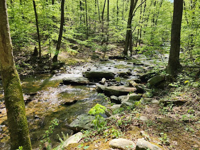 Manor Area - Cunningham Falls State Park 3