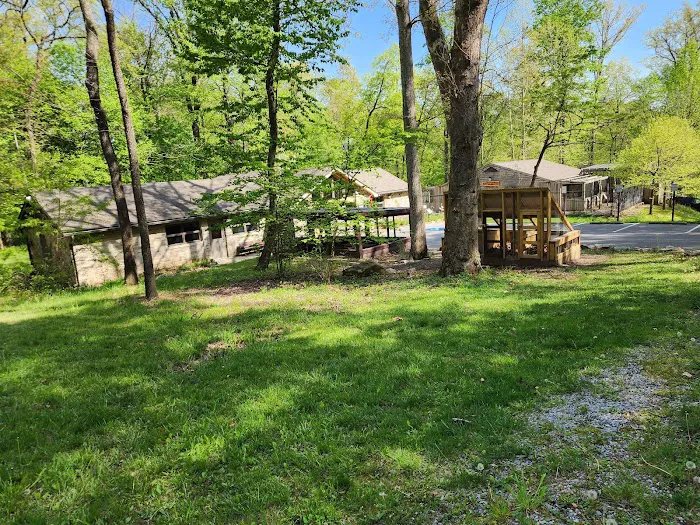 Manor Area - Cunningham Falls State Park 6