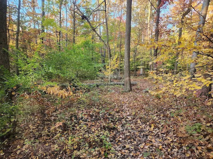 Manor Area - Cunningham Falls State Park 9