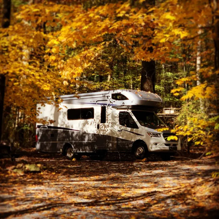 Ole Mink Farm Recreation Resort 9