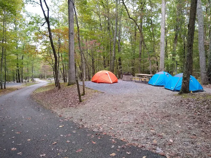 Ash Campground 0