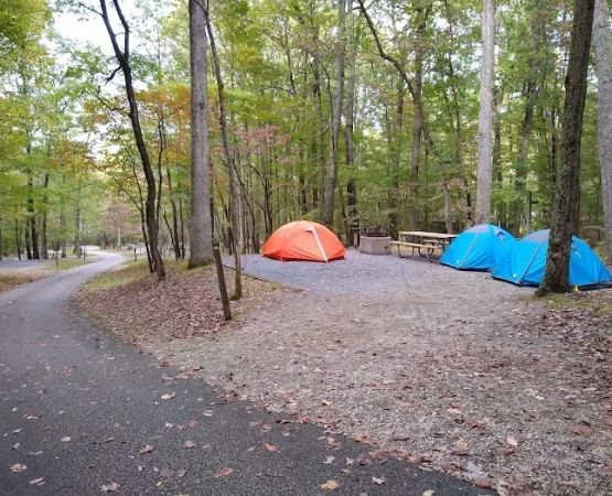 Ash Campground