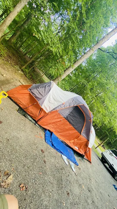 Ash Campground 9