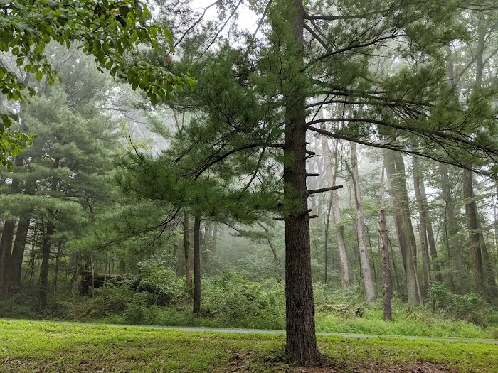Rock Run Campground 5