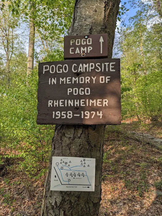 Pogo Memorial Campsite 3