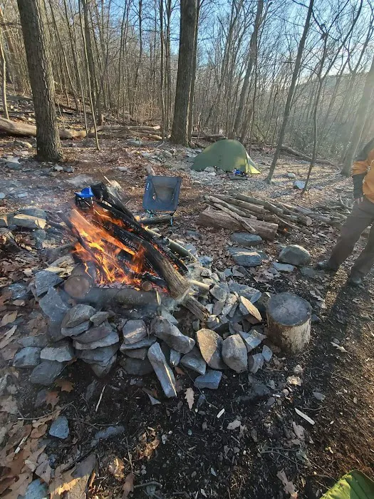 Pogo Memorial Campsite 1