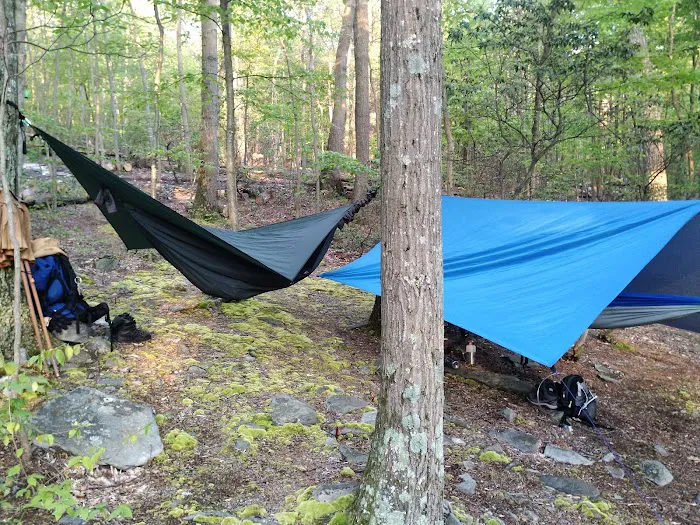 Pogo Memorial Campsite 4