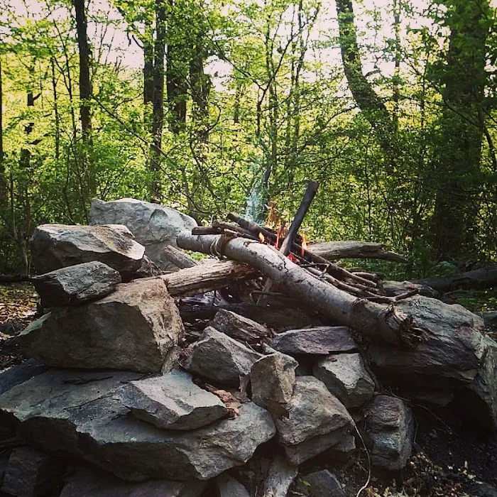 Pogo Memorial Campsite 2