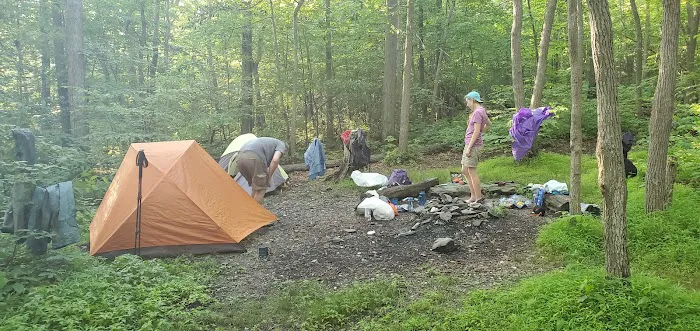 Pogo Memorial Campsite 8