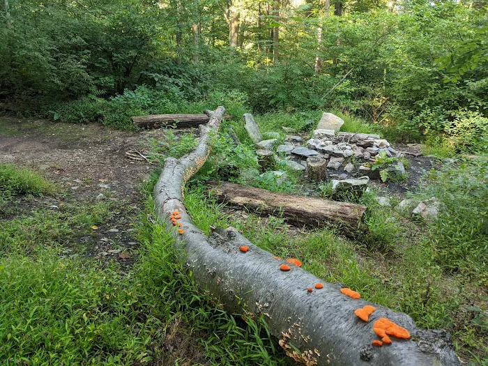 Pogo Memorial Campsite 9