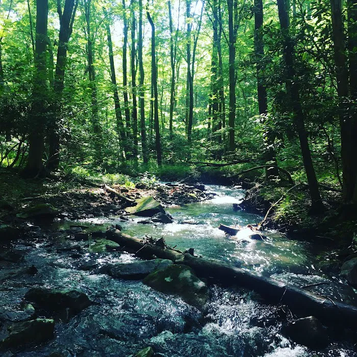 Hideaway Campground 8