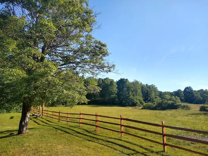 Hideaway Campground 6