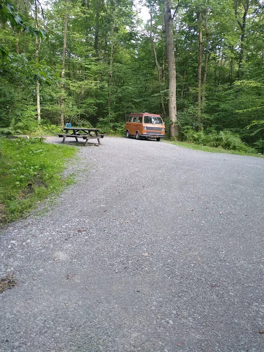 Forbes State Forest Motorized Site 2 0