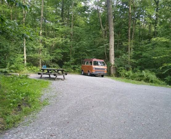 Forbes State Forest Motorized Site 2