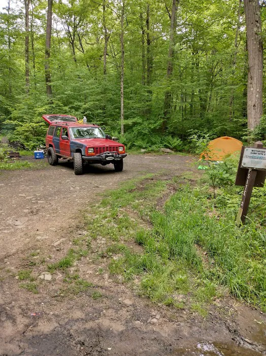 Forbes State Forest Motorized Site 2 4