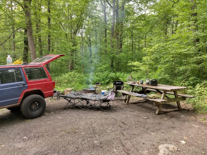 Forbes State Forest Motorized Site 2 6