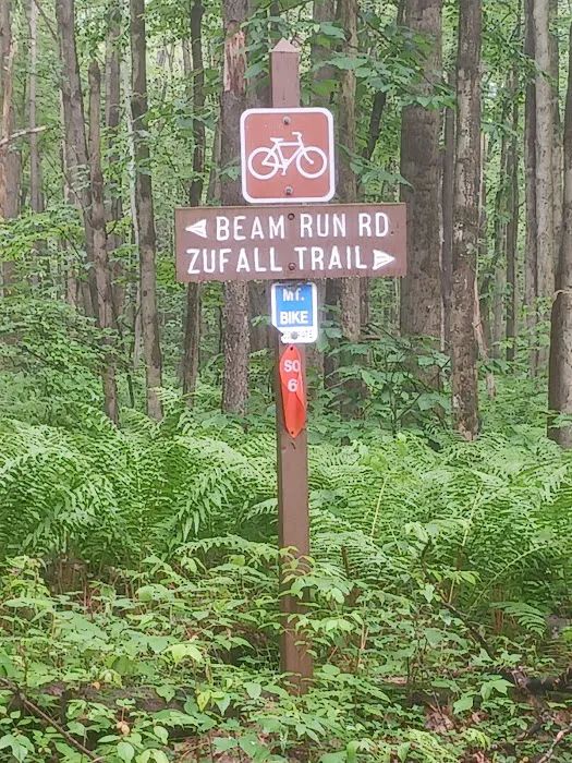 Forbes State Forest Motorized Site 2 7