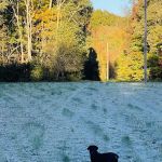 Baber Mountain Retreat