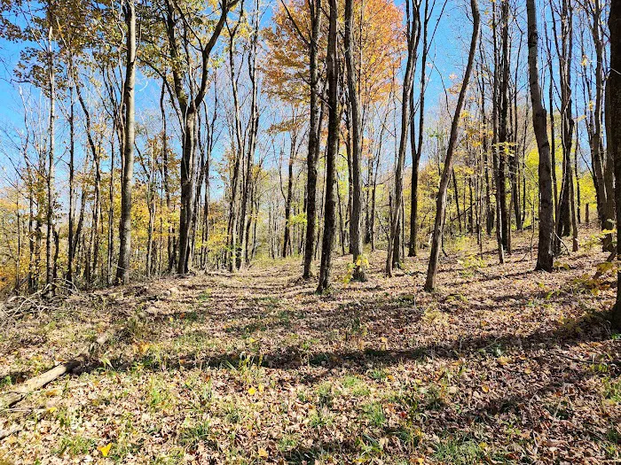 Baber Mountain Retreat 5