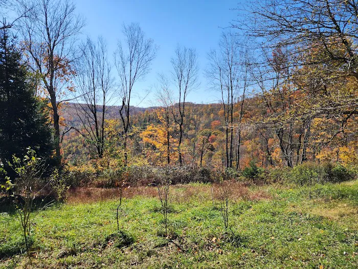 Baber Mountain Retreat 7
