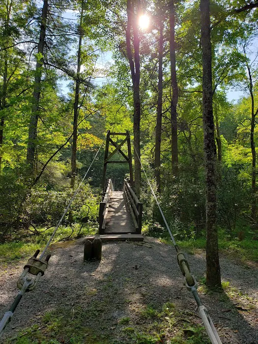 Blue Bend Campground 3